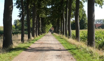 Fietstocht 'Bomen met Verhalen'